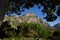 Kirstenbosch Botanical Garden