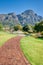 Kirstenbosch Botanical Garden in Cape Town, South Africa. Brick path leads visitors through the gradens