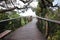 Kirstenbosch Botanical Gardens Boomslang wooden walkway