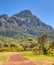 Kirstenbosch Botanical Gardens in Cape Town, South Africa.  Brick path leads visitors through the gardens. Table Top Mountain in