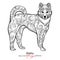 Kishu. Black and white graphic drawing of a dog.