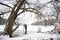 Kiss bride and groom in winter landscape