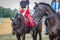 Kiss of two arab horses against the blue sky. Black and red