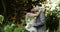 Kiss, woman and man in forest at wedding with love, flowers and commitment for couple at reception. Romance, bride and