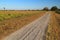 Kissimmee Prairie Preserve