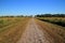 Kissimmee Prairie Preserve