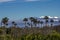 Kissimmee Prairie Preserve State Park, Florida