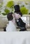 Kissing bride and groom figurines