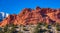 Kissing Camels atop rock formation