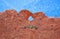 Kissing Camels at Garden of the Gods Colorado Springs Sandstone