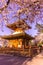 Kitain temple in springtime at Kawagoe town saitama in Japan