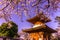 Kitain temple in springtime at Kawagoe town saitama in Japan