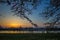 Kitakami,Iwate,Tohoku,Japan on April 26,2018:Carp streamers or koinobori over the Kitakami River and cherry trees at Tenshochi P