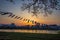 Kitakami,Iwate,Tohoku,Japan on April 26,2018:Carp streamers or koinobori over the Kitakami River and cherry trees at Tenshochi P