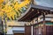 Kitano Tenmangu Shrine. The head of several hundred shrines across Japan to Sugawara Michizan