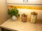 Kitchen Counter With Plant And Two Glass Containers