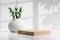 Kitchen counter with wooden podium tray or chopping board and a ceramic vase with green plants