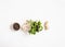 Kitchen flat lay background of ginger, black pepper in bowl, fresh garlic and bunches of raw herbs in mortar. Top view. Copy space