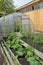 Kitchen garden and the greenhouse from polycarbonate on a country site