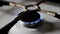 Kitchen gas stove with burning blue natural gas