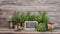 Kitchen herbs with chalkboard. Food ingredients rosemary, thyme