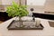 Kitchen Island With Metal Tray Of Flowers, Containers And Bowls