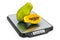 Kitchen Scales with Papayas. 3D rendering