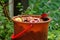 A kitchen scraps bin has fruit flies around its top