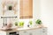 Kitchen tools and accessories, plants, window blades and shelves on the wall in the modern kitchen interior. Real photo