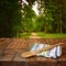 Kitchen utensils on tablecloth on wooden textures table against autumnal forest background