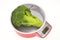 Kitchen Weighing Scale With Broccoli