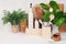 Kitchen white interior with wooden beige kitchenware, spices, ceramics and green spinach bush on light wood board, copy space.