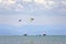 Kite-boarders at the upper Adriatic sea