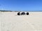 Kite buggy on beach