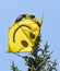 A kite caught on top of a tree against