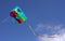 Kite in flight