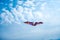 Kite flying against the blue sky
