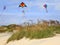 Kite Flying on the Beach