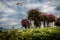 Kite Flying in Bougainvillea Garden At Beach