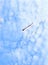 Kite and sky digital illustration in modern abstract painting style. Blue and white empty sky