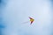 Kite soars in the sky