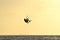Kite Surfer Silhouette in Jump
