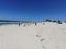 Kite Surfers on Dolphin Beach