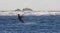 Kiteboarder And Godrevy Lighthouse