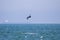 Kiteboarder kite surfing off the coast of Long Beach