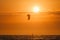 Kiteboarding kitesurfing kiteboarder kitesurfer kites silhouette in the ocean on sunset