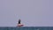 Kiteboarding, Kitesurfing Kiter and Kiteboarder is Pulled Across Sea Water by a Wind Power Kite