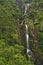 Kitekite Falls, Waitakere Ranges Regional Park, New Zealand