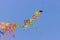 Kites on the beachin summer. Rimini, Italy
