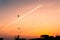 Kites flying at sunset